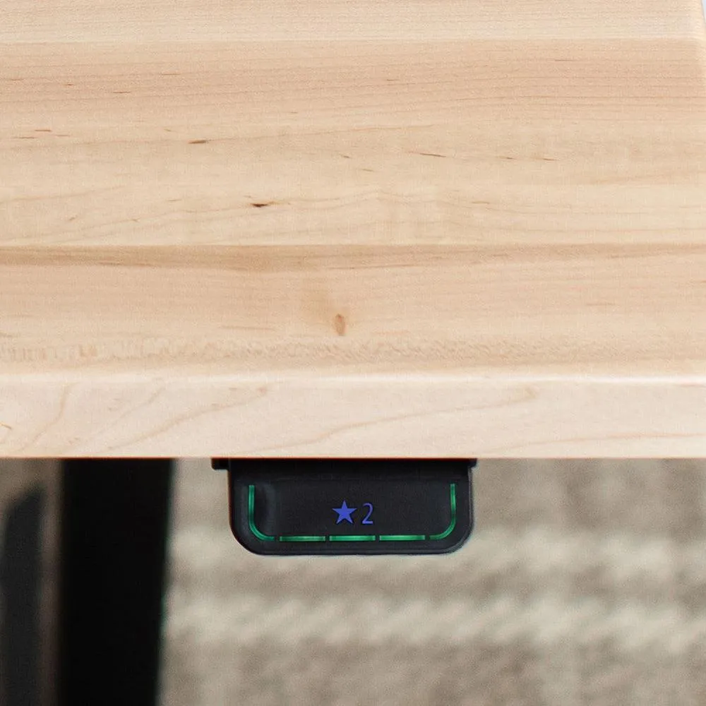 Lander Standing Desk - Butcher Block