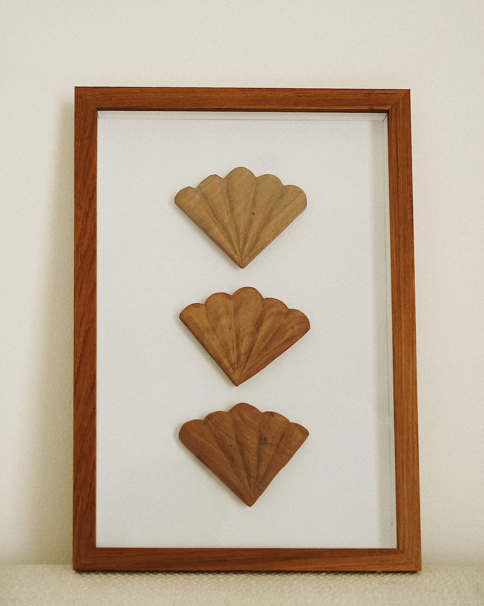 Sea Shell Wooden Wall Art - Framed | By CallaForma