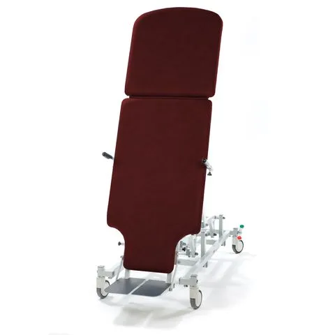 Seers Multi-Purpose Therapy Tilt Table