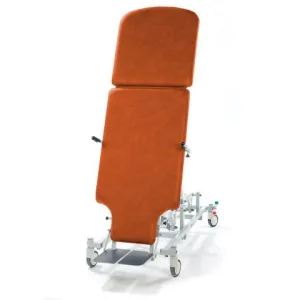 Seers Multi-Purpose Therapy Tilt Table