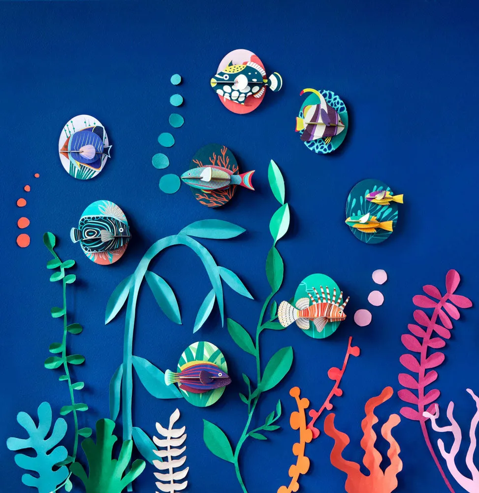 Studio Roof Fishes - Emperor Angelfish