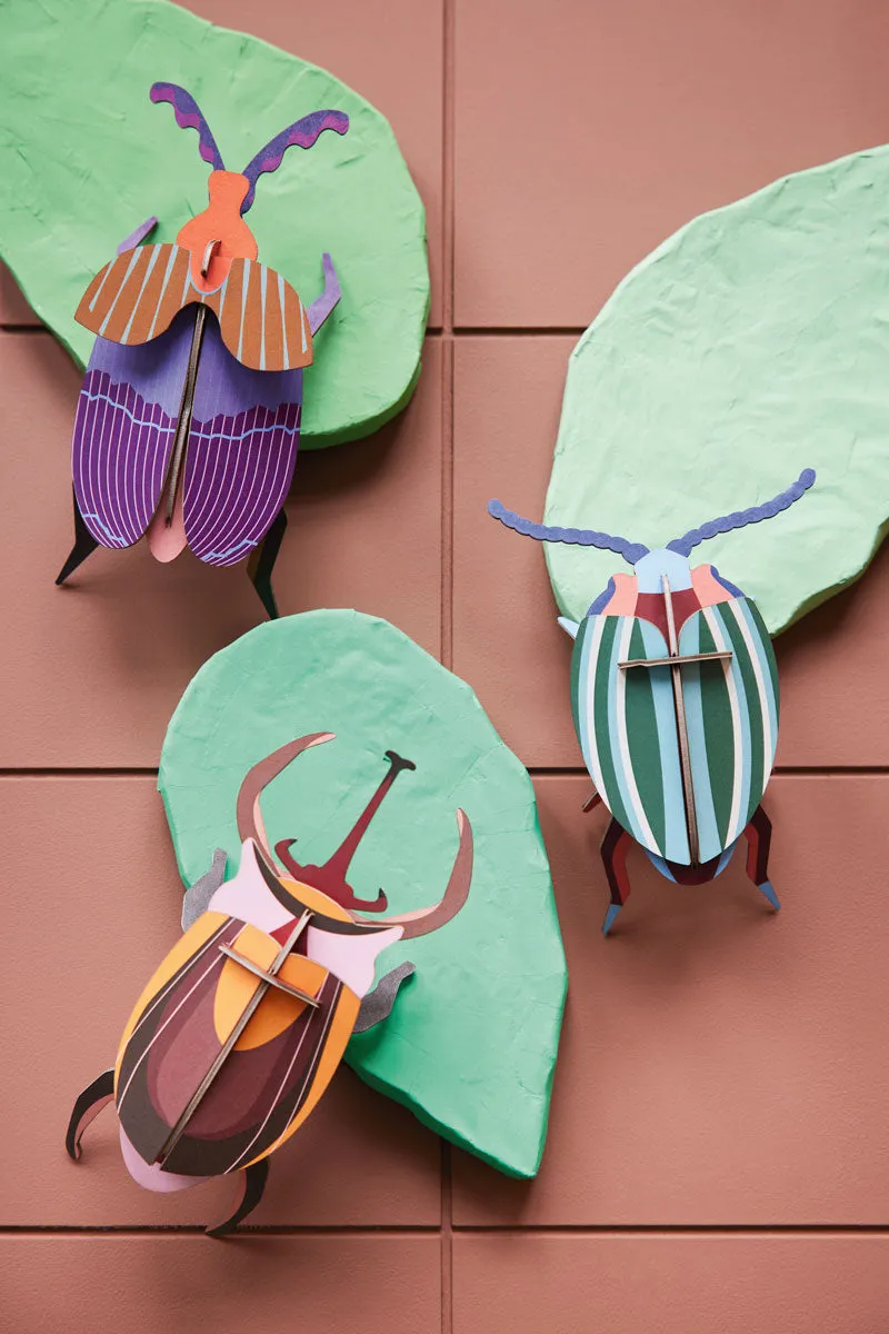 Studio Roof Rainbow Leaf Beetle