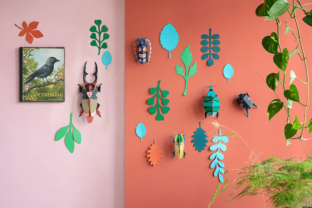 Studio Roof Wall of Curiosities - Beetle Antiquary