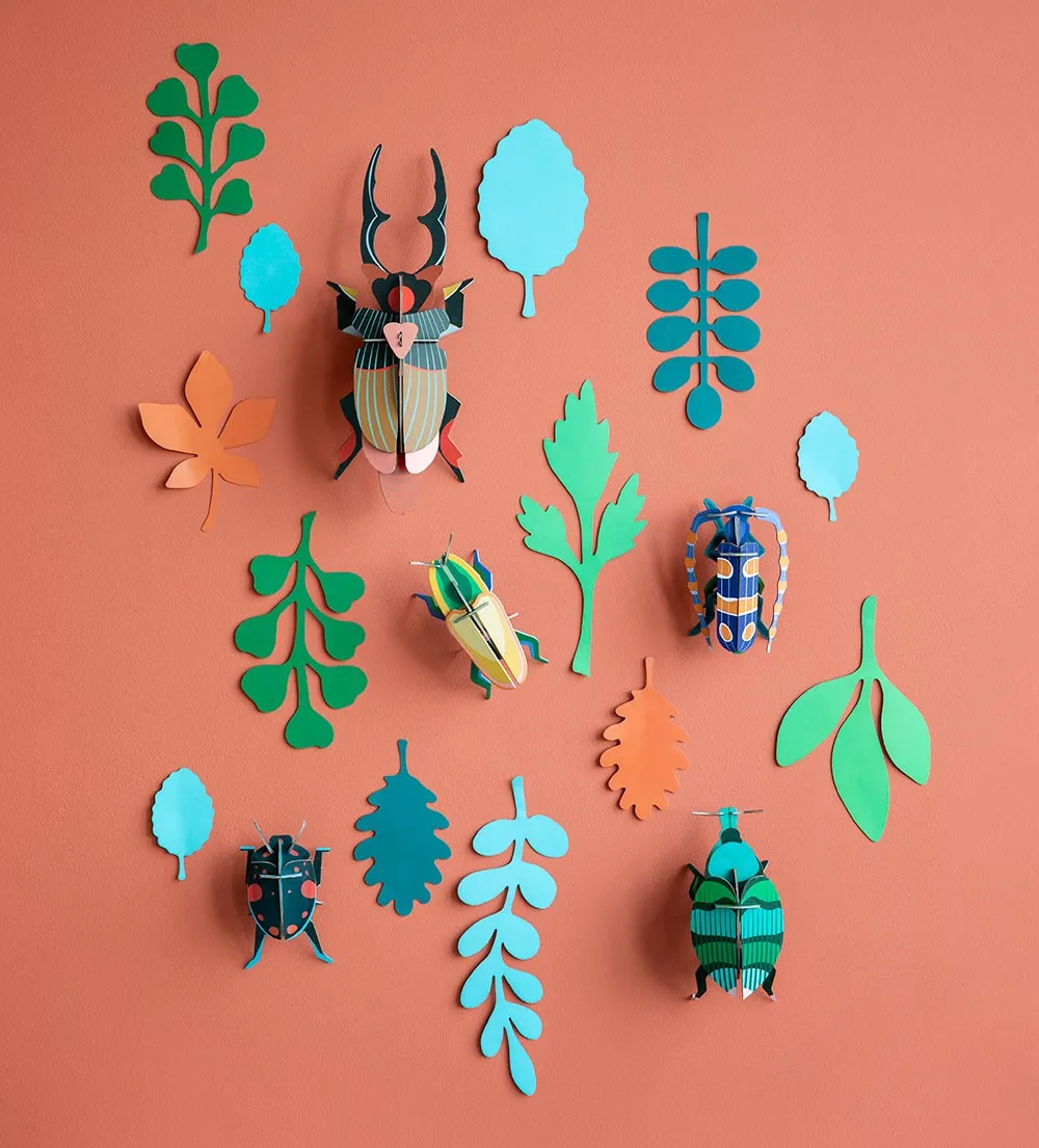 Studio Roof Wall of Curiosities - Beetle Antiquary